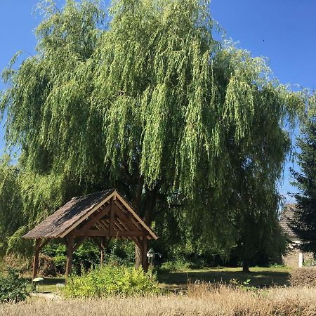 Charmant T2 Rdc Dans Residence Avec Parc Arbore 圣皮埃尔－勒穆捷 外观 照片