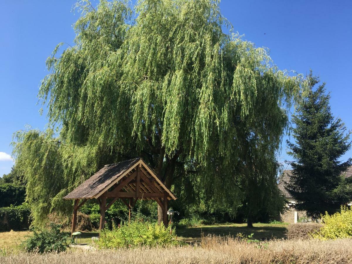 Charmant T2 Rdc Dans Residence Avec Parc Arbore 圣皮埃尔－勒穆捷 外观 照片
